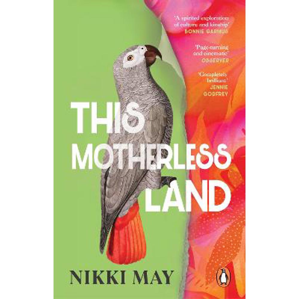 This Motherless Land (Paperback) - Nikki May